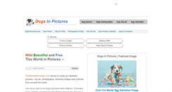 Desktop Screenshot of dogsinpictures.com